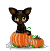 pumpkin-and-black-cat.gif