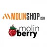 MolinShop