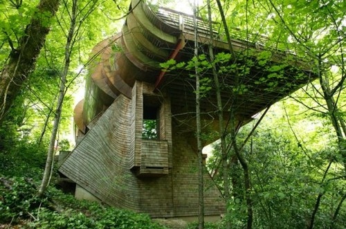architecture-epic-forest-nature-tree-house-treehouse-Favim.com-50658.jpg