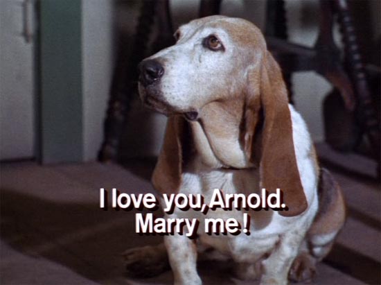 green-acres-cynthia-wants-to-marry-arnold1.jpg