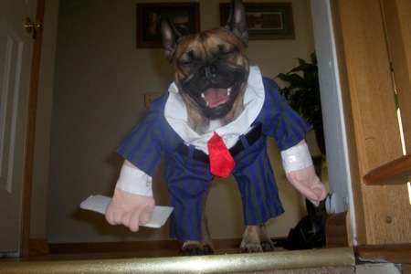 dog-in-businessman-costume.jpg