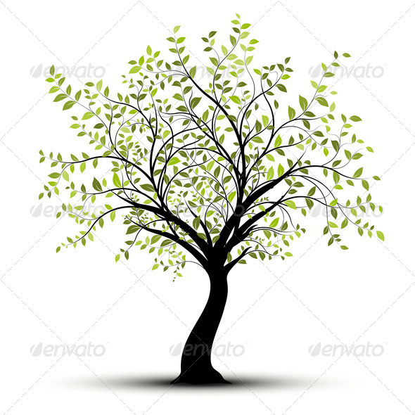 tree%20with%20leaves-01.jpg