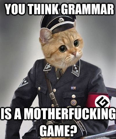 Grammar-Cat-Meme-Plays-No-Games.jpg