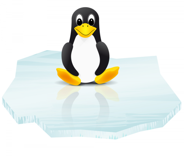 linux-penguin-600x514.png