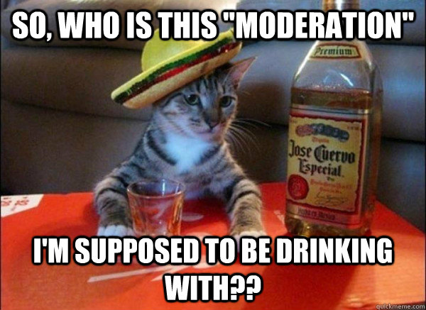 drinking-meme-005-who-is-this-moderation.jpg