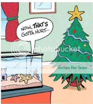 funny-christmas-star-cartoon_zps3b1a88a2.jpg~original