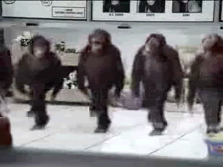 Irish-dancing-monkeys.gif