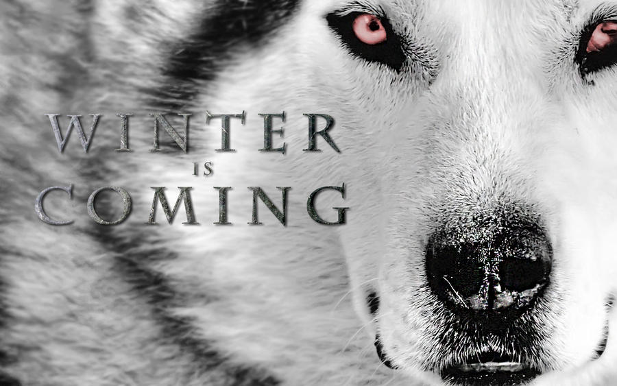 winter_is_coming_by_figure_of_l-d541201.jpg