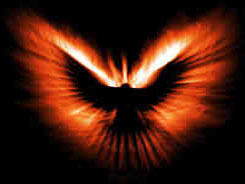 Phoenix-fire-logo.jpg
