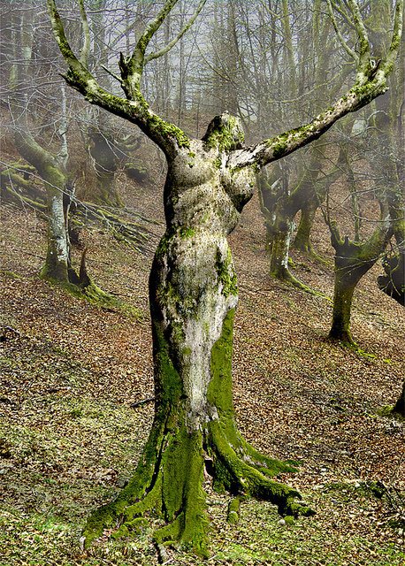 woman-tree.jpg