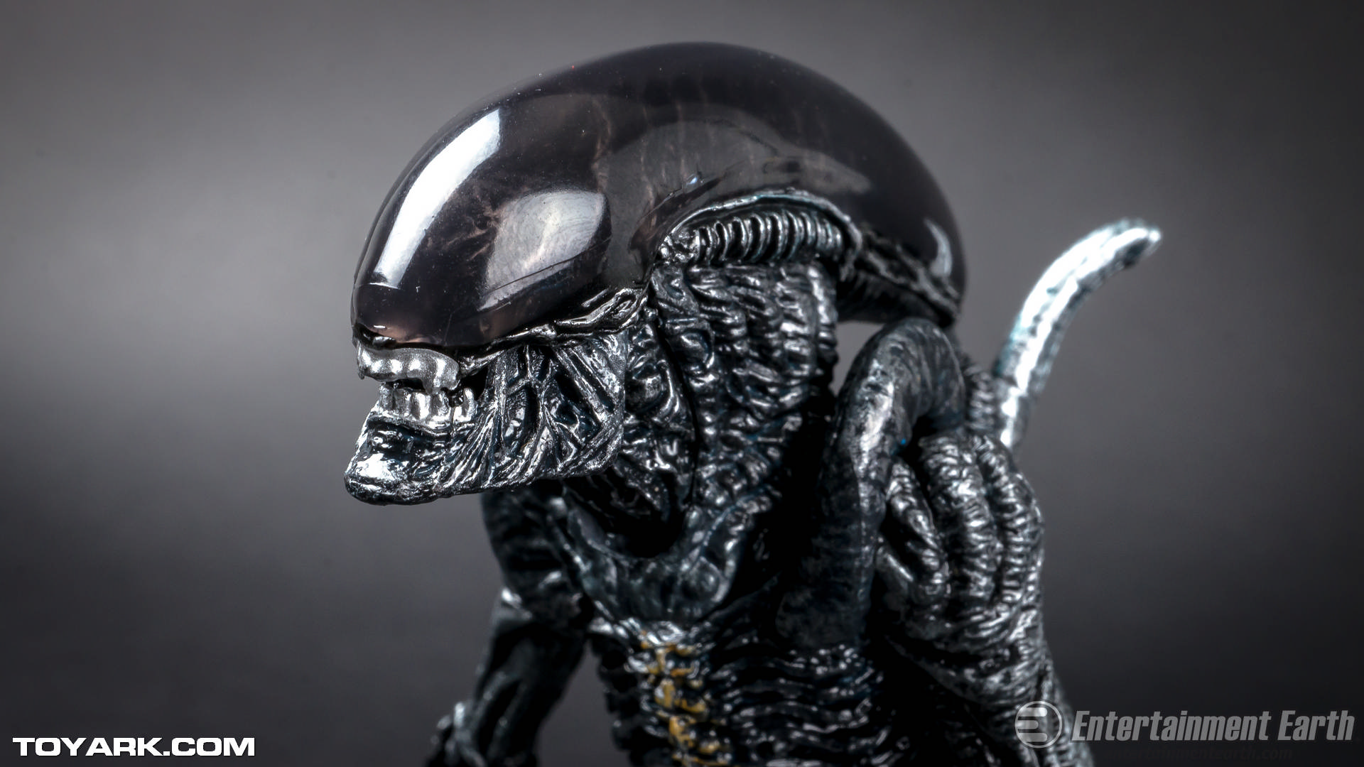 MonsterArts-Alien-24.jpg