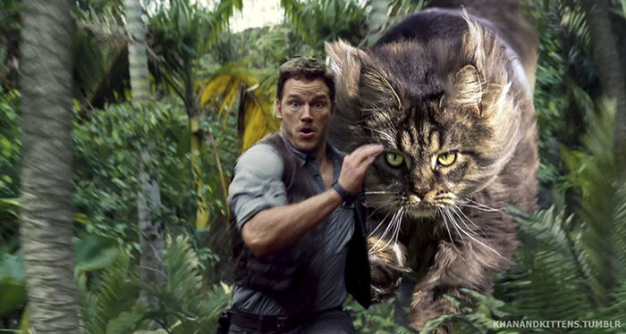 jurassic-park-dinosaurs-replaced-with-cats-13-5978350de48b2__700.jpg
