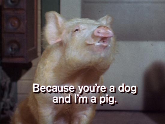 arnold-the-pig-green-acres-because-youre-a-dog-and-im-a-pig.jpg