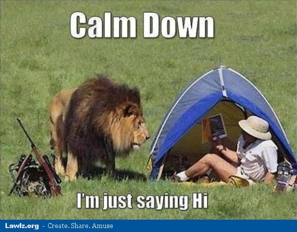 calm-down-im-just-saying-hi-lion-meme.jpg