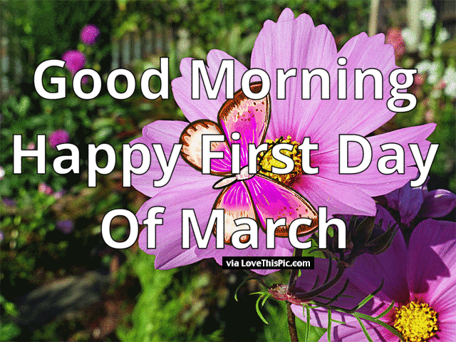 242492-Good-Morning-Happy-First-Day-Of-March.gif