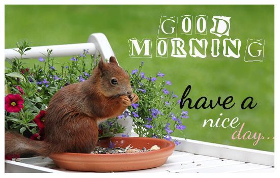 244779-Good-Morning-Have-A-Nice-Day-Spring-Quote.jpg