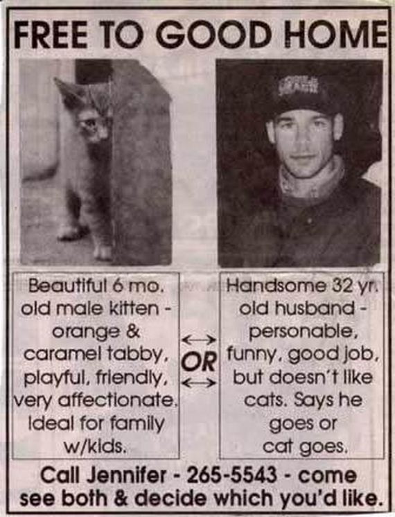 clever-cat-vs-husband-newspaper-classified-ads.jpg