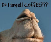 196933-Do-I-Smell-Coffee.jpg