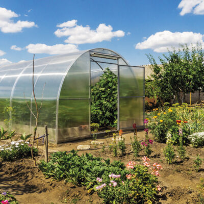 Hoop House Plans: Site a Hoop House for Success