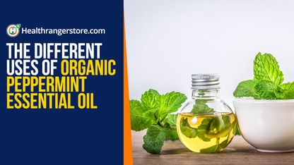 The different uses of Organic Peppermint Essential Oil