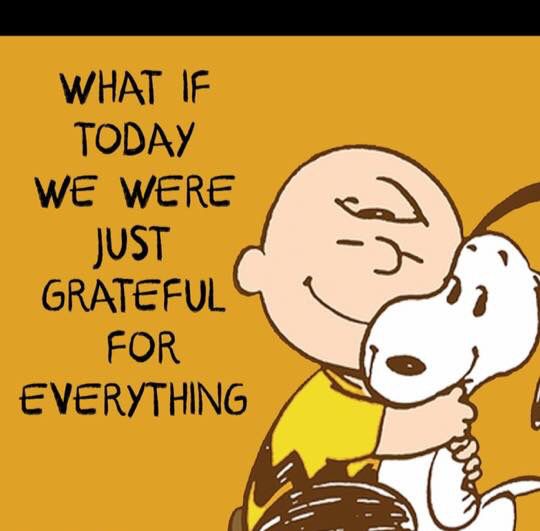 f2d07b4496ff64d18c31c85a618353c9--snoopy-peanuts-peanuts-cartoon.jpg