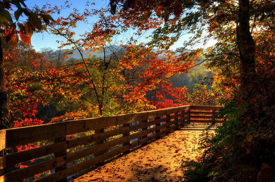 fall-morning-walk-greg-and-chrystal-mimbs.jpg