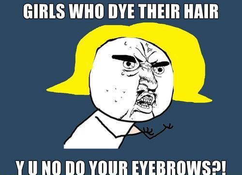 really-funny-memes-y-u-no-guy-dye-hair-eyebrows.jpg