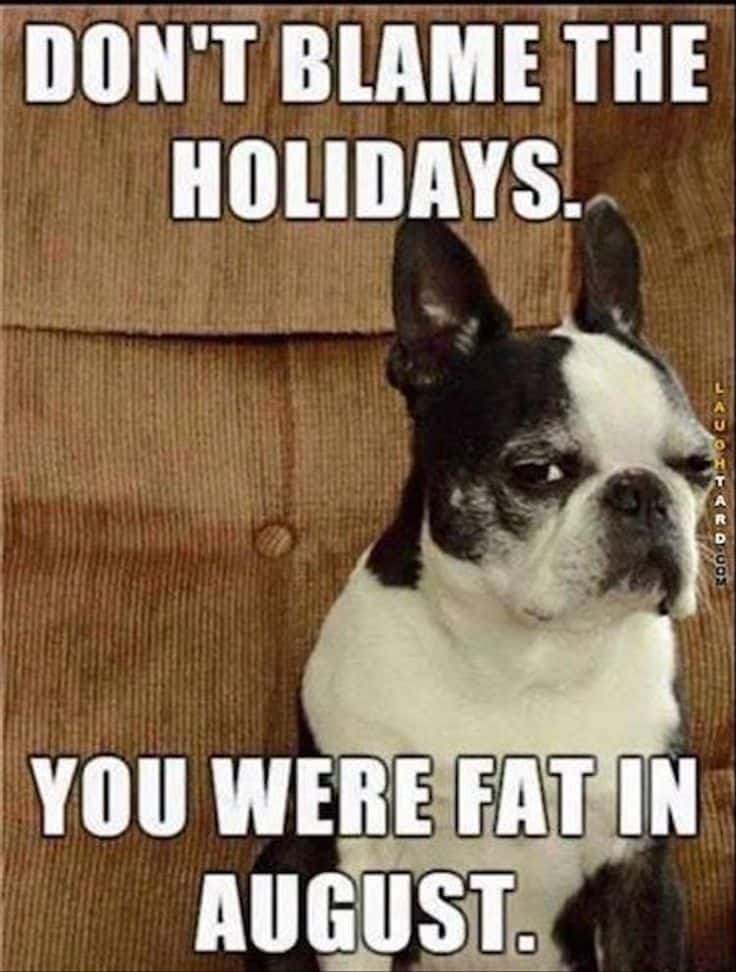 dont-blame-the-holidays-you-were-fat-in-august-funny-merry-christmas-memes.jpg