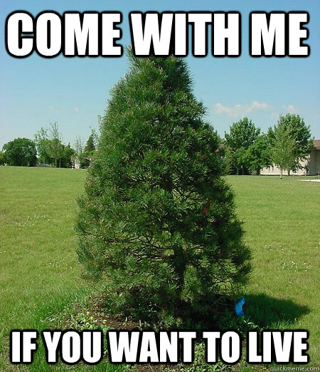 Funny-Tree-Meme-Come-With-Me-If-You-Want-To-Live-Picture-For-Facebook.jpg