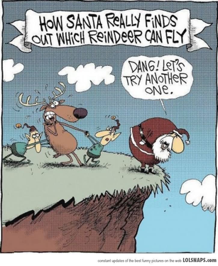 How-Santa-Really-Finds-Out-Which-Reindeer-Can-Fly-Funny-Reindeer-Meme-Picture.jpg