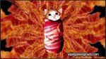 bacon-cat.jpg