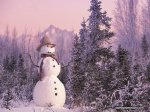 dreamy-snow-scene-Snow_1009_wallcoo.com.jpg