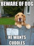 Beware-Of-dog-He-Wants-Couldes-Funny-Dog-Meme.jpg