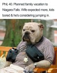 funny-dog-bios-82-59ad2f64bea2c__700.jpg