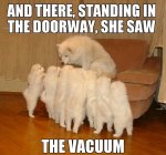 And-There-Standing-In-The-Doorway-She-The-Vacum-Funny-Dog-Meme-Picture.jpg