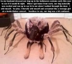dog-dressed-up-in-spider-costume.jpg