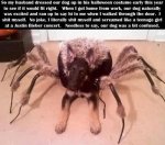 dog-dressed-up-in-spider-costume.jpg dog-dressed-up-in-spider-costume.jpg