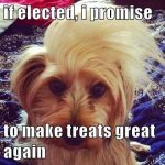 Dog-Trump-Meme.jpg