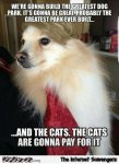 10-funny-Trump-dog-meme.jpg