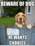Beware-Of-dog-He-Wants-Couldes-Funny-Dog-Meme-1.jpg