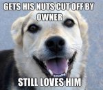 good-guy-dog-meme.jpg