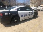 dallas_police_car_payton_potter_15-1530801138-3911.jpg