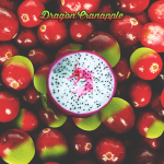 Dragon-Cranapple-500x500-500x500.png