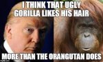 trump monkey.jpg