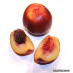 nectarine.jpg