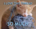 cat - i love this thread so much-2.jpg