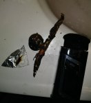 20180918_113924-1.jpg 20180918_113924-1.jpg