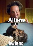 aliens-cat_o_4653225.jpg