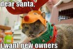 funny-pictures-dear-santa-cat-christmas001.jpg