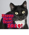 happynewyear-tuxie-bottomborder4forum.jpg